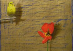 CANARIO  J.M. ALVAREZ CEBRIAN